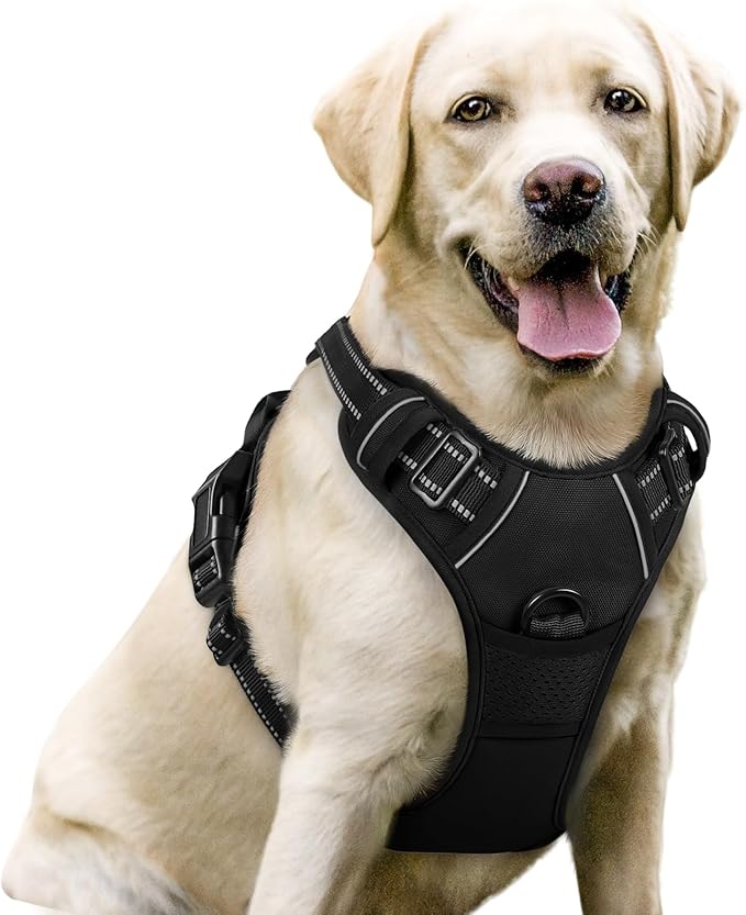 rabbitgoo Dog Harness No Pull by rabbitgoo