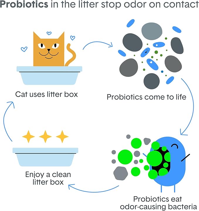Boxie Probiotic Lightweight Cat Litter 40 Day Odor Control, Odor Eliminating - Image 6