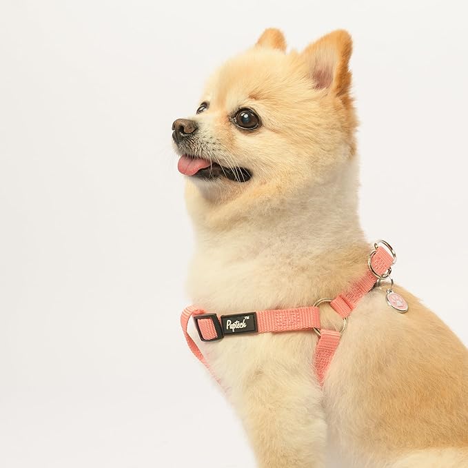 PUPTECK No Pull Dog Harness Soft Adjustable Basic Nylon Step in Puppy Vest - Image 5