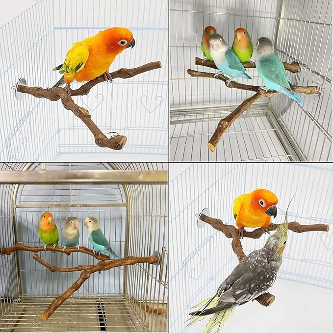 Natural Parrot Perch Wild Grape Stick Bird Standing Pole Claw Grinding Fork - Image 2