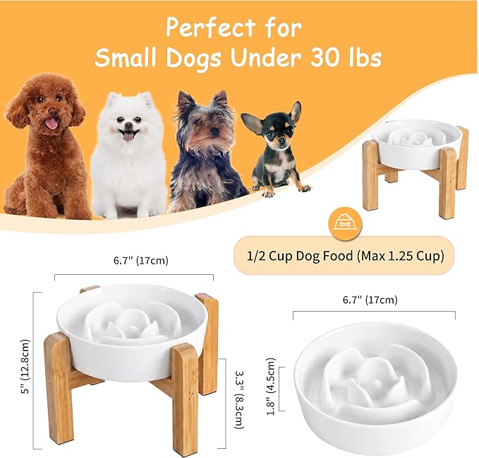Elevated Slow Feeder Dog Bowl - Image 2