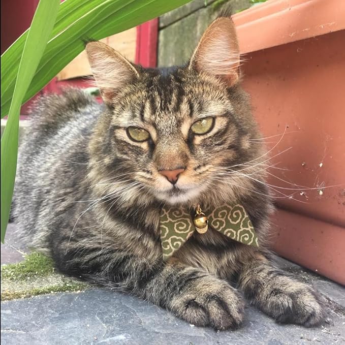 Bunny Ears Cat Collar, Japan Lucky ‘開三運’ Charm. Safety Breakaway Bowtie Kitten - Image 8