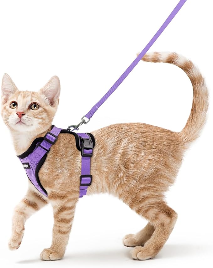 rabbitgoo Cat Harness and Leash by rabbitgoo