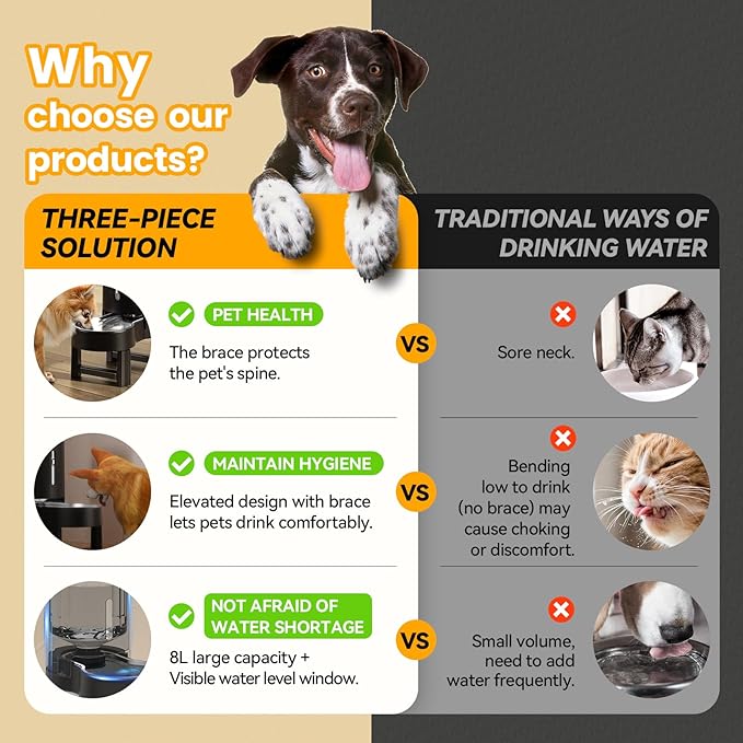 CZPET Elevated Dog Water Bowl Dispenser - Image 2