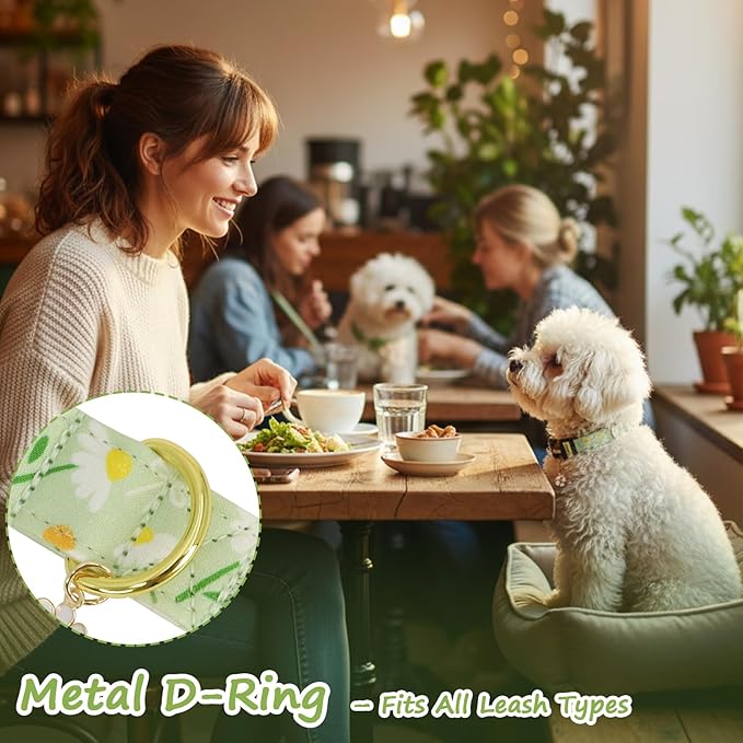 Dog Collar with Daisy Patterns, Spring Summer Collection Green Dog Collar with - Image 6