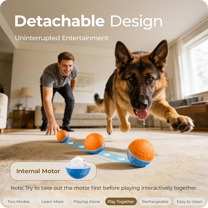 Interactive Dog Toys: Shaky Dog Ball - Image 5