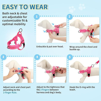Lukovee No Pull Dog Harness and Leash Set, Soft Padded Small Dog Harness - Image 9