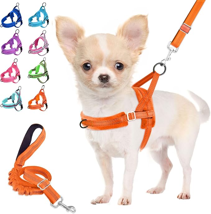 Lukovee No Pull Dog Harness and Leash Set, Soft Padded Small Dog Harness by Lukovee