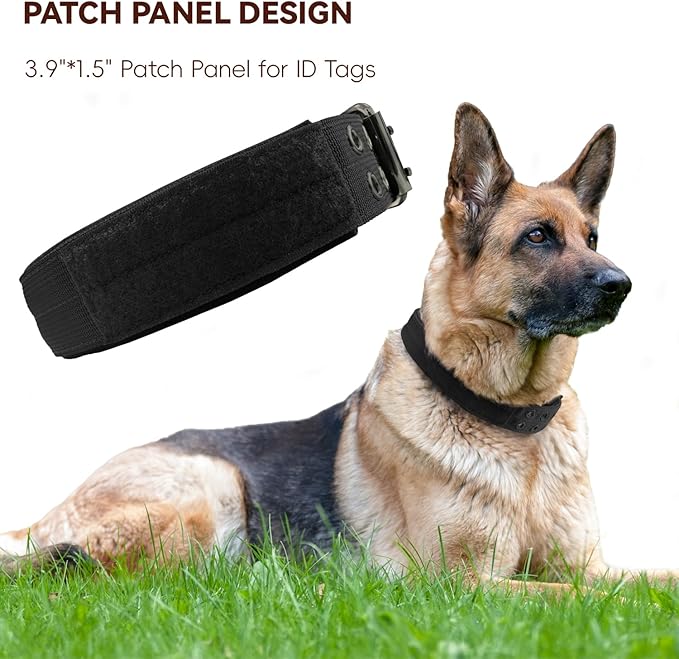 Heavy Duty Dog Collar for Large Dogs, Tactical Dog Collars - Image 4