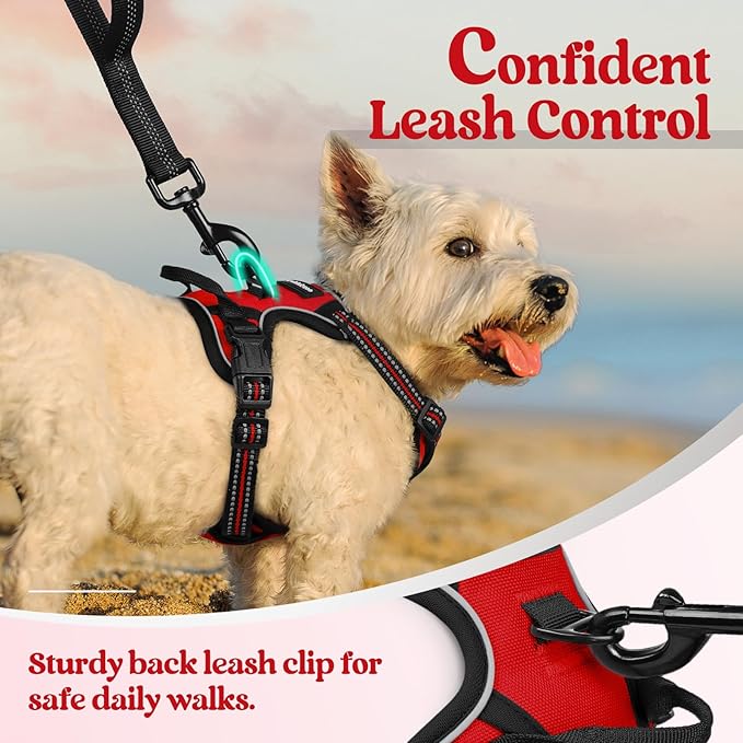 rabbitgoo Dog Harness No Pull - Image 6