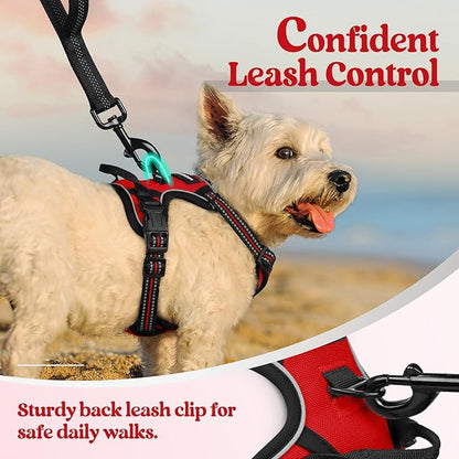 rabbitgoo Dog Harness No Pull - Image 6
