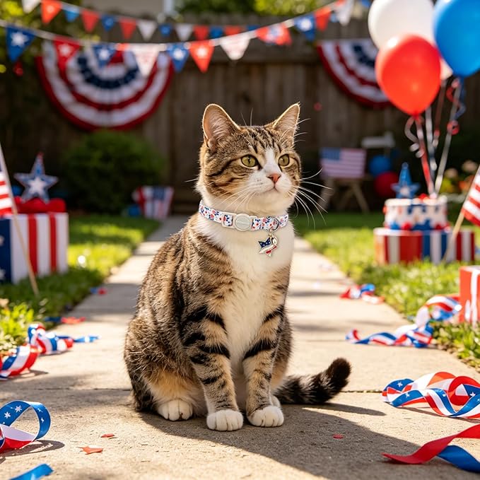 2 Pack Independence Kitten Collar Breakaway - Image 6
