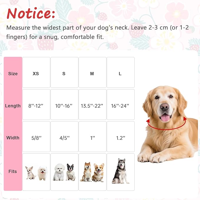 Dog Collar for Small Dogs, Spring Pink Dog Collars - Image 2