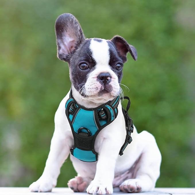 rabbitgoo Dog Harness No Pull - Image 8