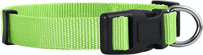 Native Pup Basic Nylon Dog Collar, Adjustable by NativePup