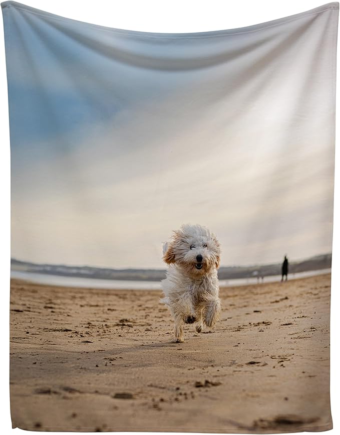 Prints Next Day – Custom 50" x 60" Fleece Pet Lightweight Blanket by KarismaDecor