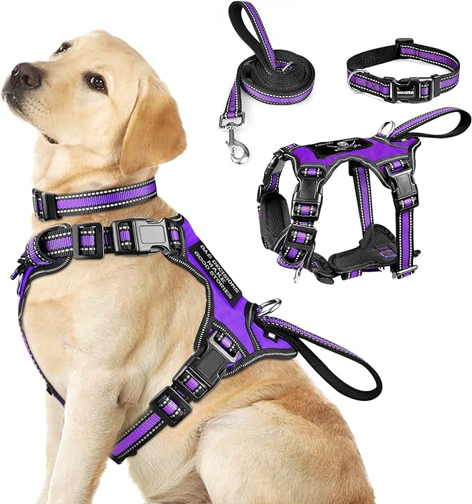 WINSEE Pet Harness Collar and Leash Set, All-in-one Reflective Dog Harness No by WINSEE