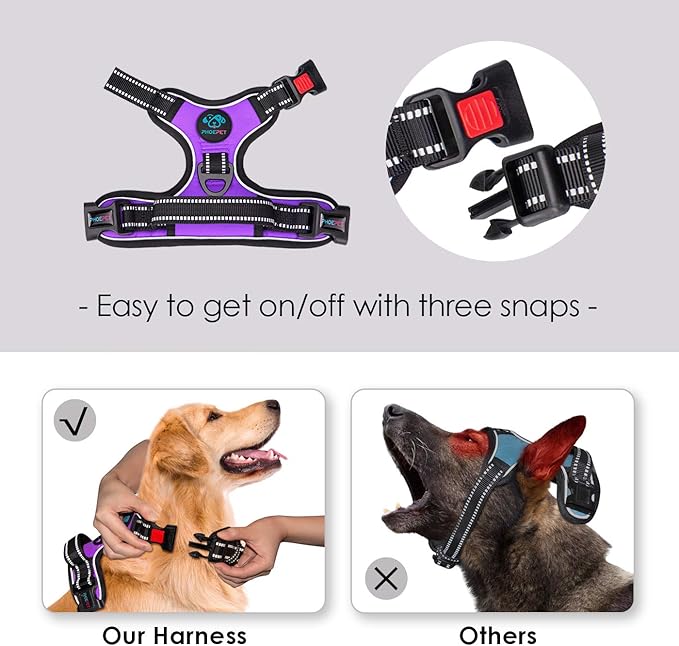 PHOEPET No Pull Dog Harnesses for Small Dogs Reflective Adjustable Front Clip - Image 3