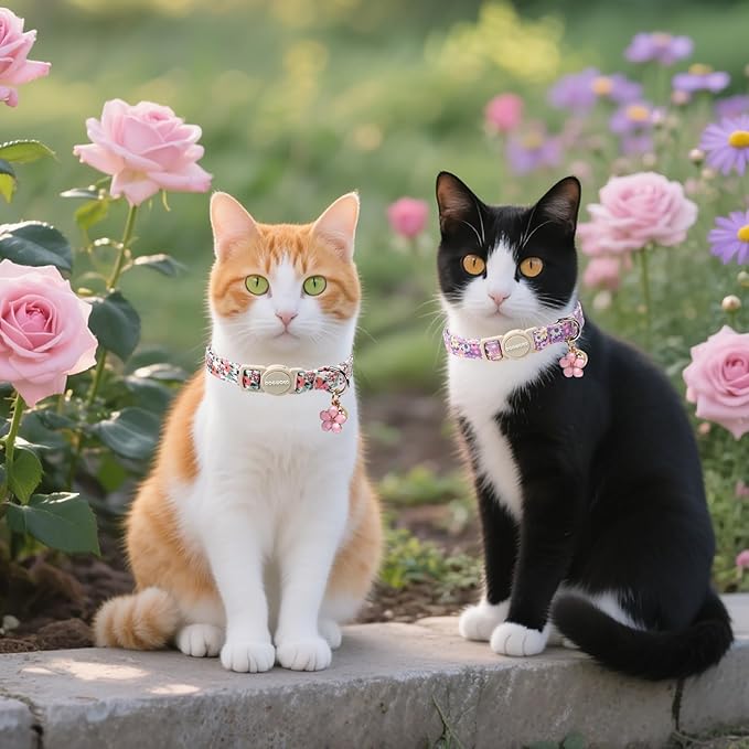 Cat Collar, 2 Pack Cute Cat Collars Breakaway - Image 5