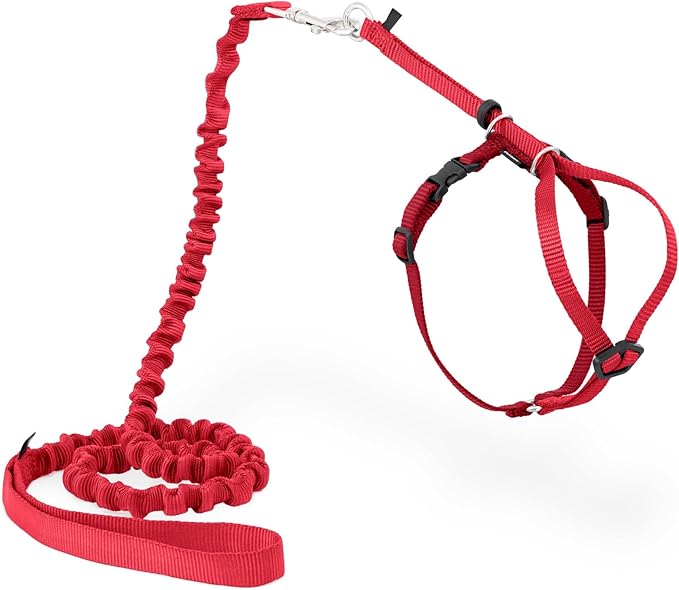PetSafe Come with Me Kitty Harness and Bungee Leash Adjustable, Lightweight by PetSafe