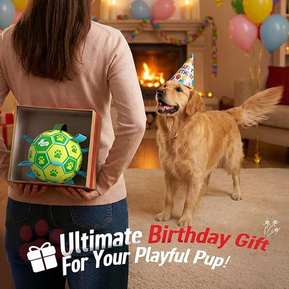 QDAN Dog Toys Soccer Ball - Image 3