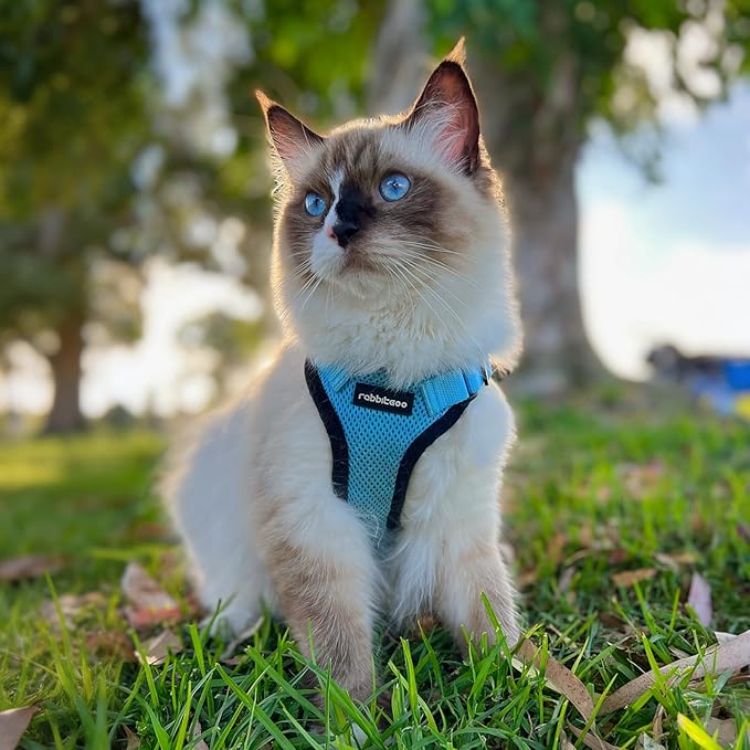 rabbitgoo Cat Harness and Leash - Image 9