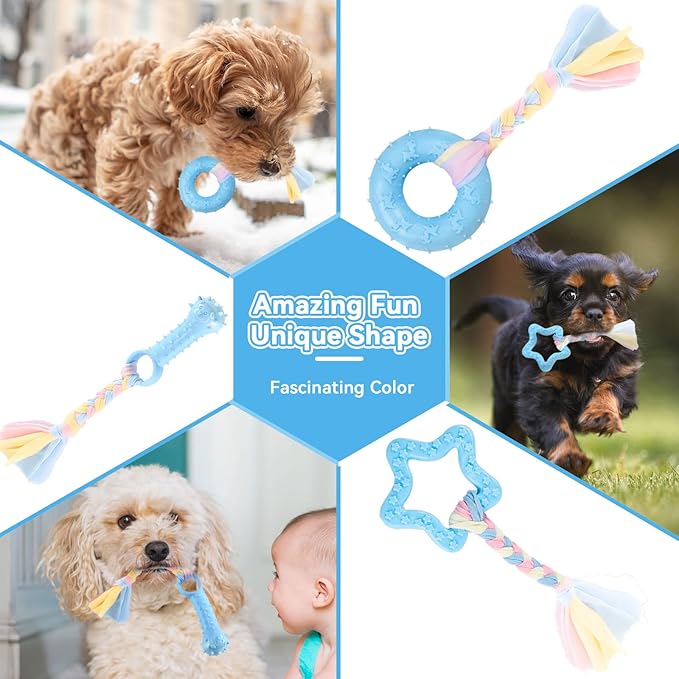 Petcare 6 Pack Puppy Chew Toys - Image 5