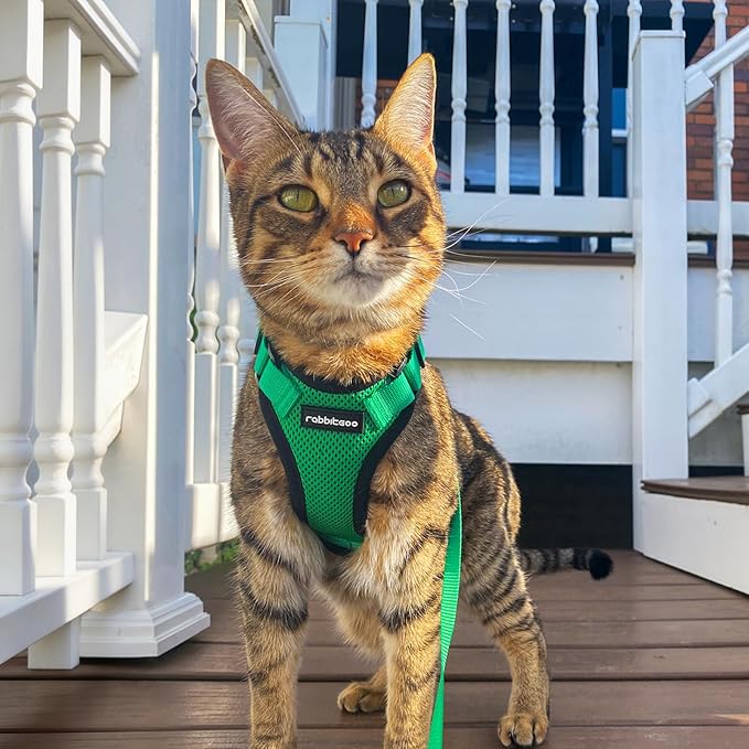 rabbitgoo Cat Harness and Leash Set, Escape Proof Kitten Harness - Image 9