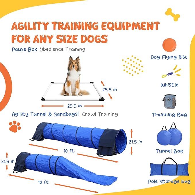 POPMOON Agility Training Equipment - Image 4