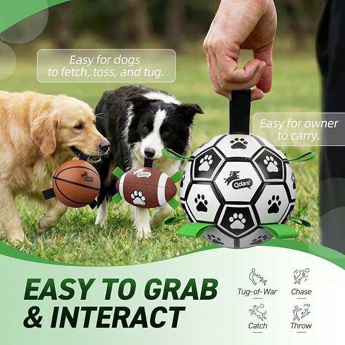 QDAN Dog Soccer Ball Football Basketball Set - Image 6