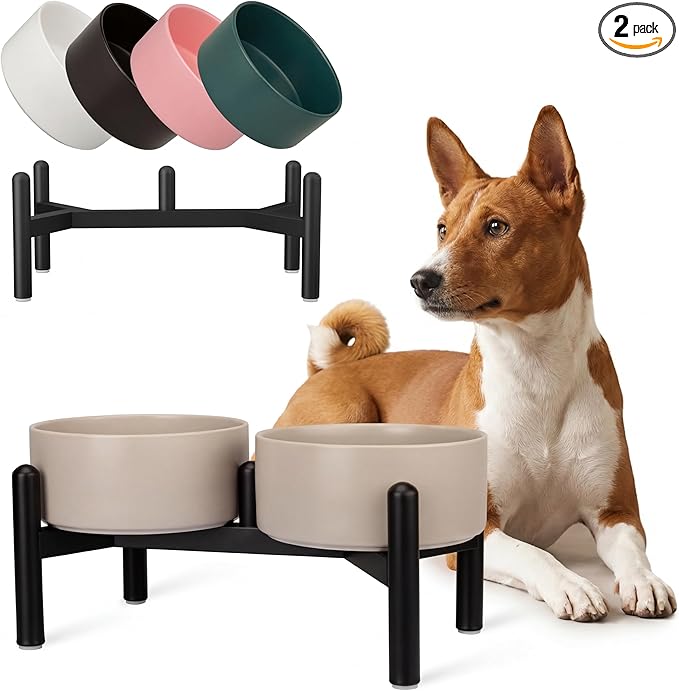 Raised Ceramic Dog Bowl Set by PTOBER