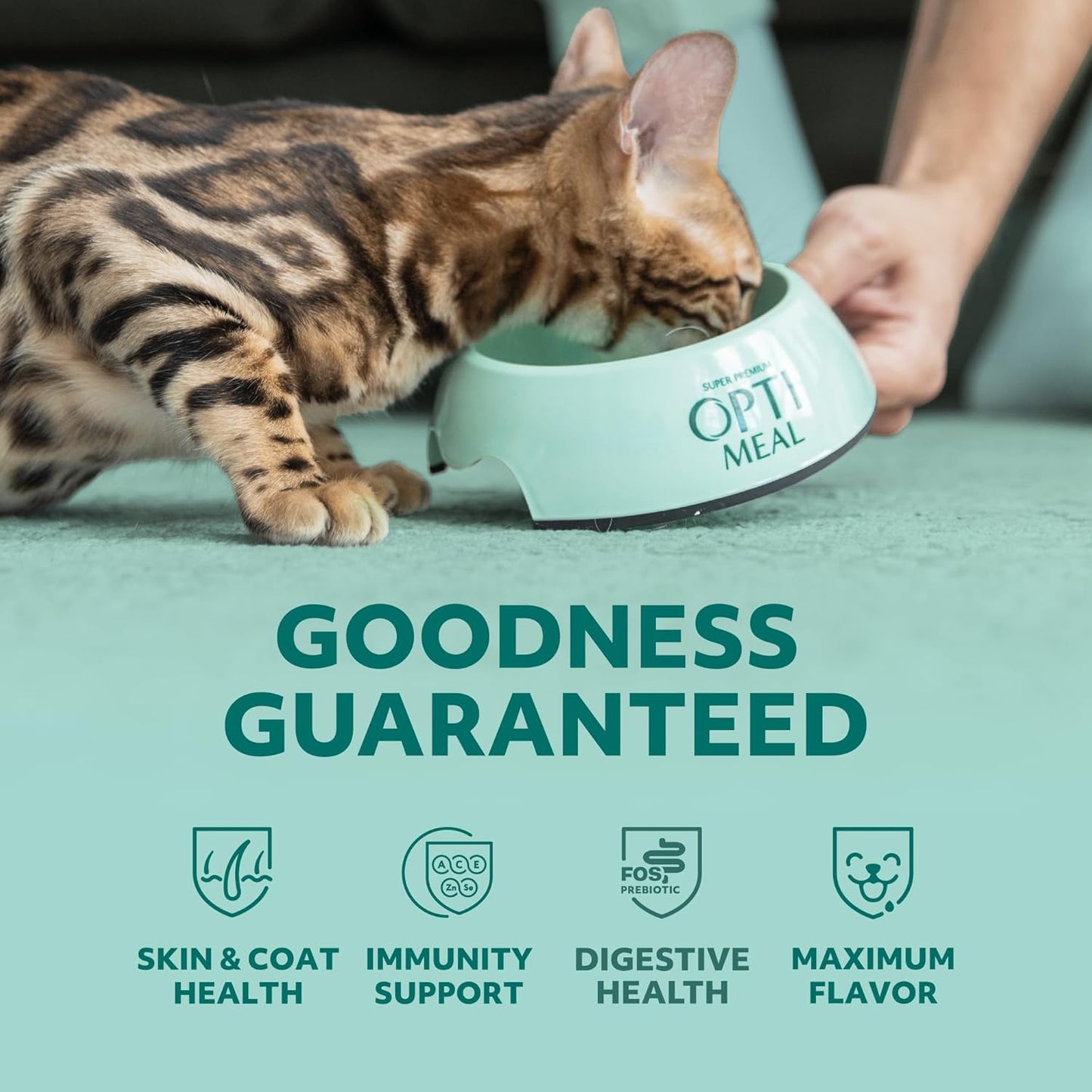 Optimeal Natural Dry Cat Food for Adult Cats - Proudly Ukrainian - Tasty and Nutritional Cat Food Dry Recipe with Immunity Support for Healthy Felines (3.3 lbs, Turkey & Barley)
