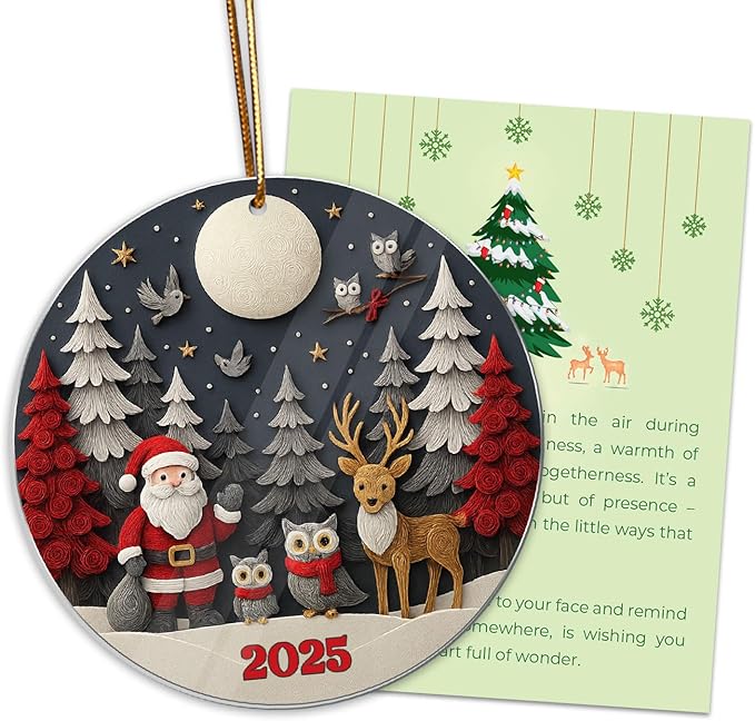 Santa 2025 Ornament, Santa Ornament, Meaningful Christmas Ornaments - Image 8