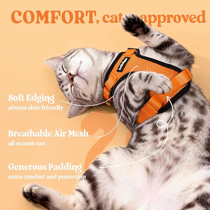 rabbitgoo Cat Harness and Leash Set, Escape Proof Vest Harness - Image 4