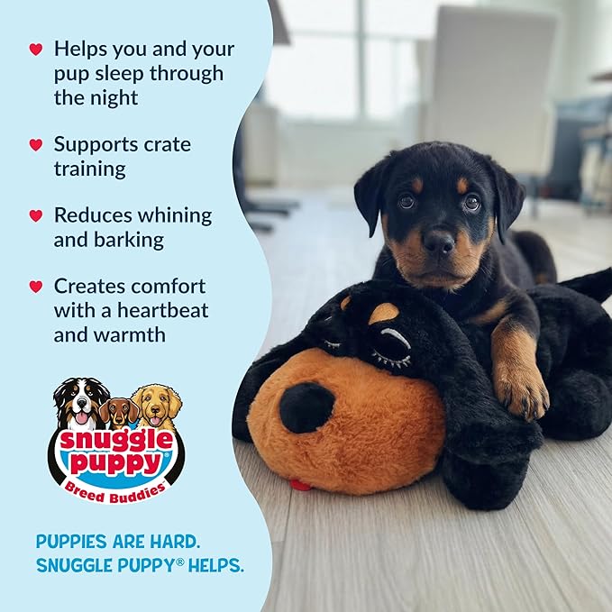 Snuggle Puppy Heartbeat Puppy Toy - Image 4