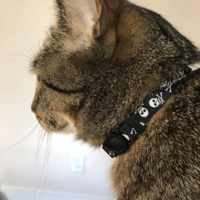 PUPTECK Cat Collar Breakaway - Image 7