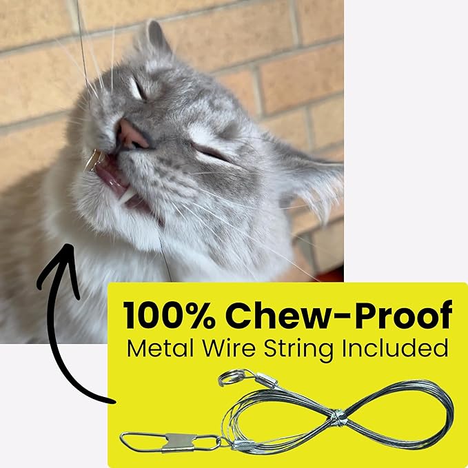 Forever Stick and 3 Strings including Chew Proof Metal Wire - Image 6