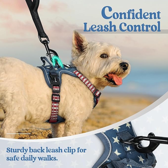 rabbitgoo Dog Harness No Pull - Image 6