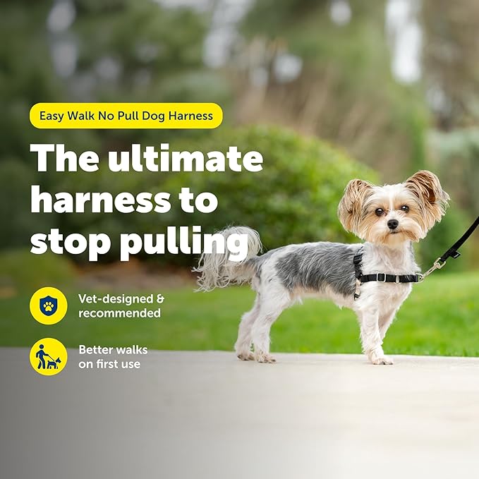PetSafe Easy Walk No-Pull Dog Harness - Image 3