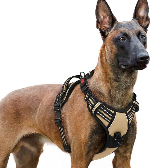 rabbitgoo Dog Harness for Large, No Pull Easy On & Off by rabbitgoo