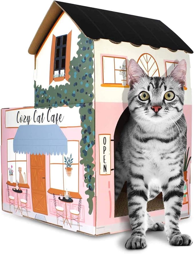 American Cat Club Cat House - Image 2