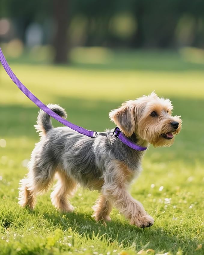 Joytale Small Dog Collar, Durable Double-Sided Reflective Nylon Collar - Image 6