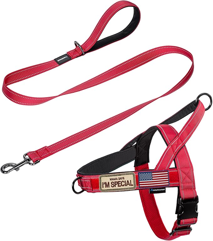 Annchwool No Pull Dog Harness by Annchwool