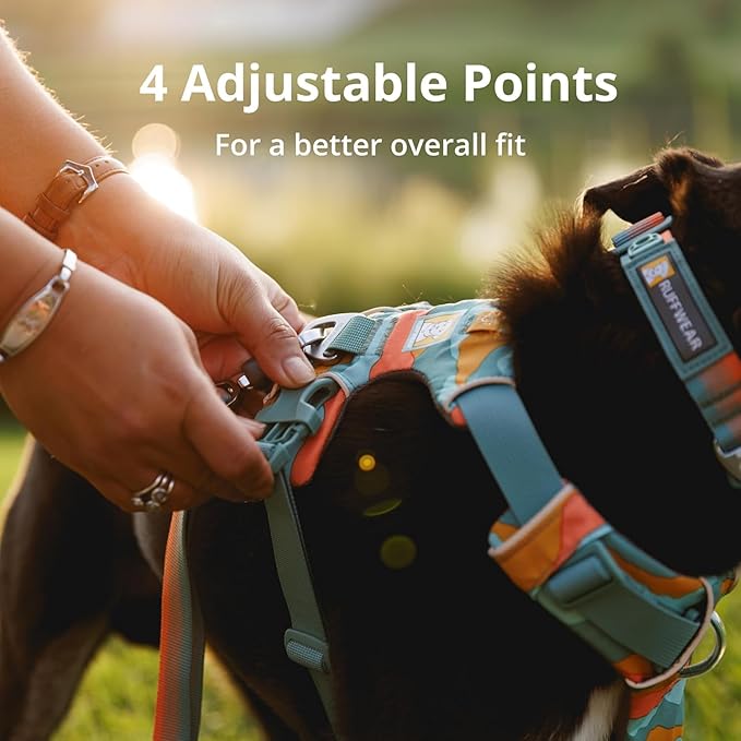 Ruffwear, Front Range Dog Harness, Reflective Soft Padded Everyday Harness - Image 7