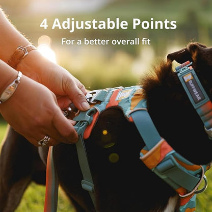 Ruffwear, Front Range Dog Harness, Reflective Soft Padded Everyday Harness - Image 7