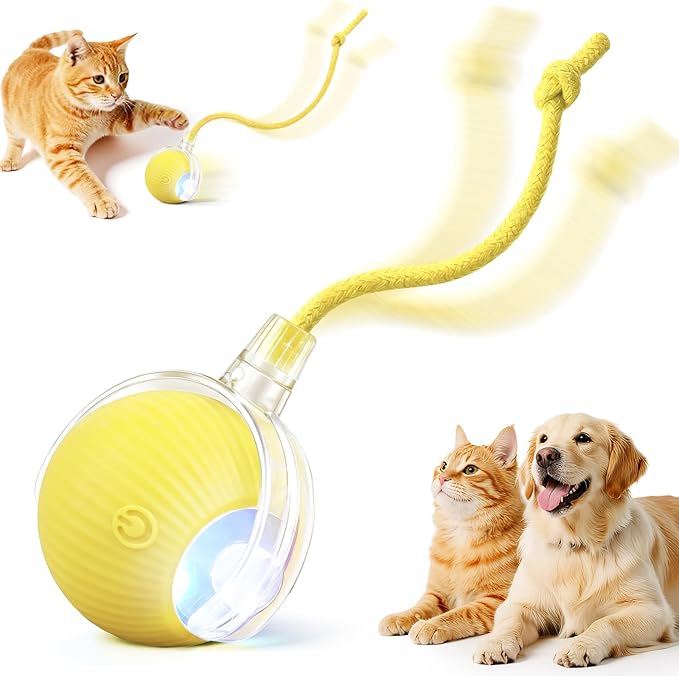 Smart Interactive Automatic Electric Rolling Moving Rechargeable Motion by Unknown