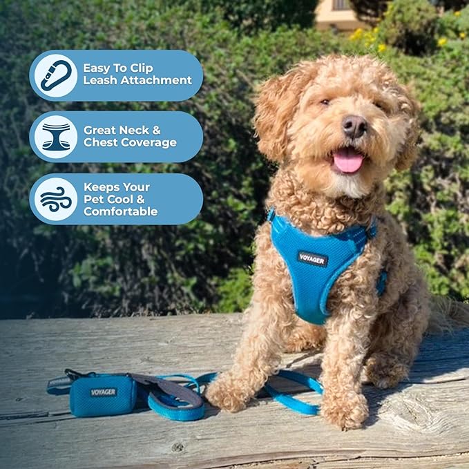Best Pet Supplies Voyager Adjustable Step-in Flex Breathable Mesh Dog Harness - Image 5