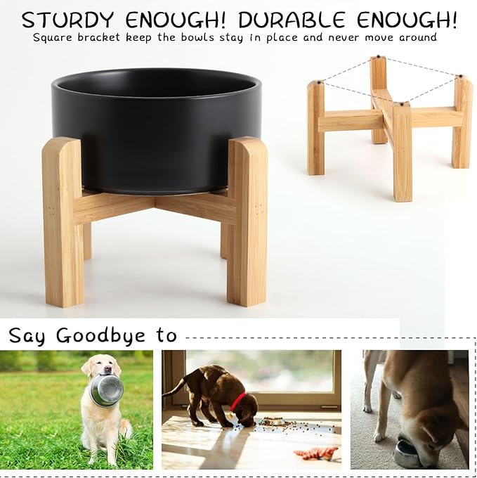 Petygooing Black Elevated/Raised Ceramic Dog Bowl - Image 2