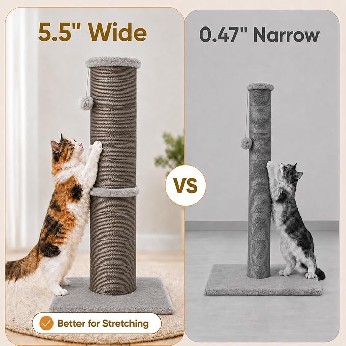 PAWSCRAT Cat Scratching Post 32 Inch High, 5.5 Inch Large Diameter Natural - Image 4