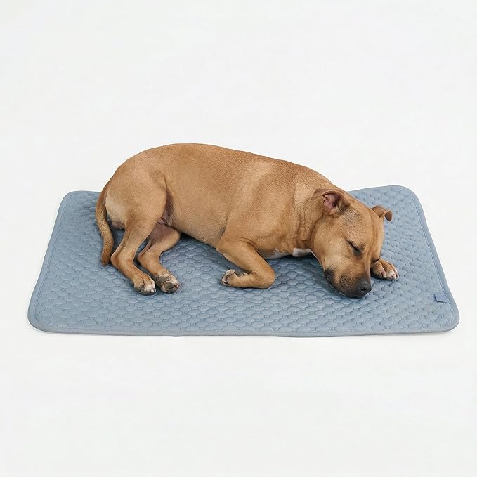 Spark Paws Cooling Mat for Dogs by SparkPaws